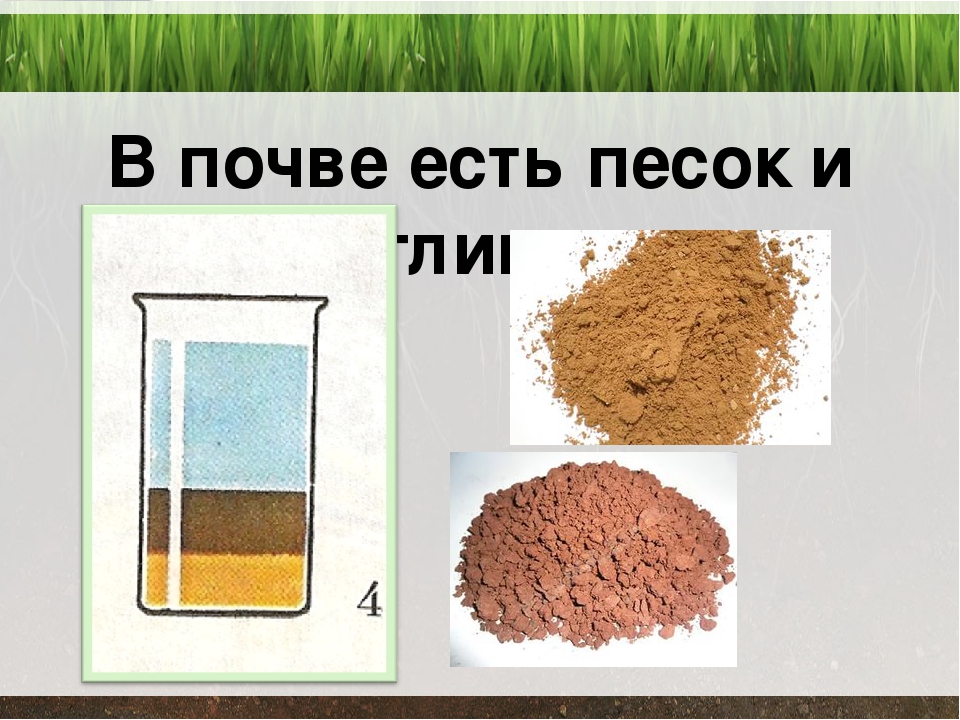 Из чего состоит песок картинки