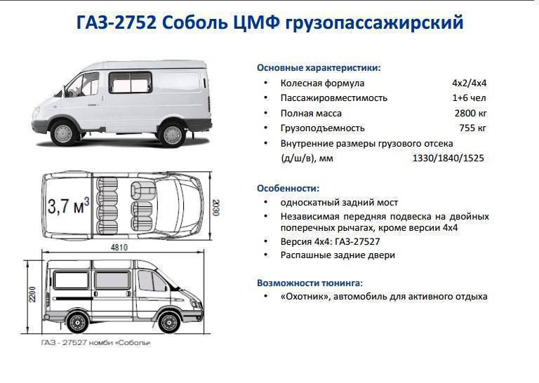 Газель и соболь отличия