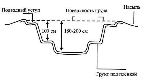 На рисунке изображен план пруда сколько кубометров воды понадобится чтобы заполнить этот пруд на 1м2